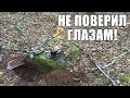 ЧТО Я НАШЕЛ В ЛЕСУ? НАХОДКА ЗА 1000 ЕВРО / Russian Digger