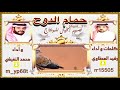 شيلة حمام الدوح كلمات و اداء الشاعر رشيد العطاوي واداء محمد النفيشي نجومي