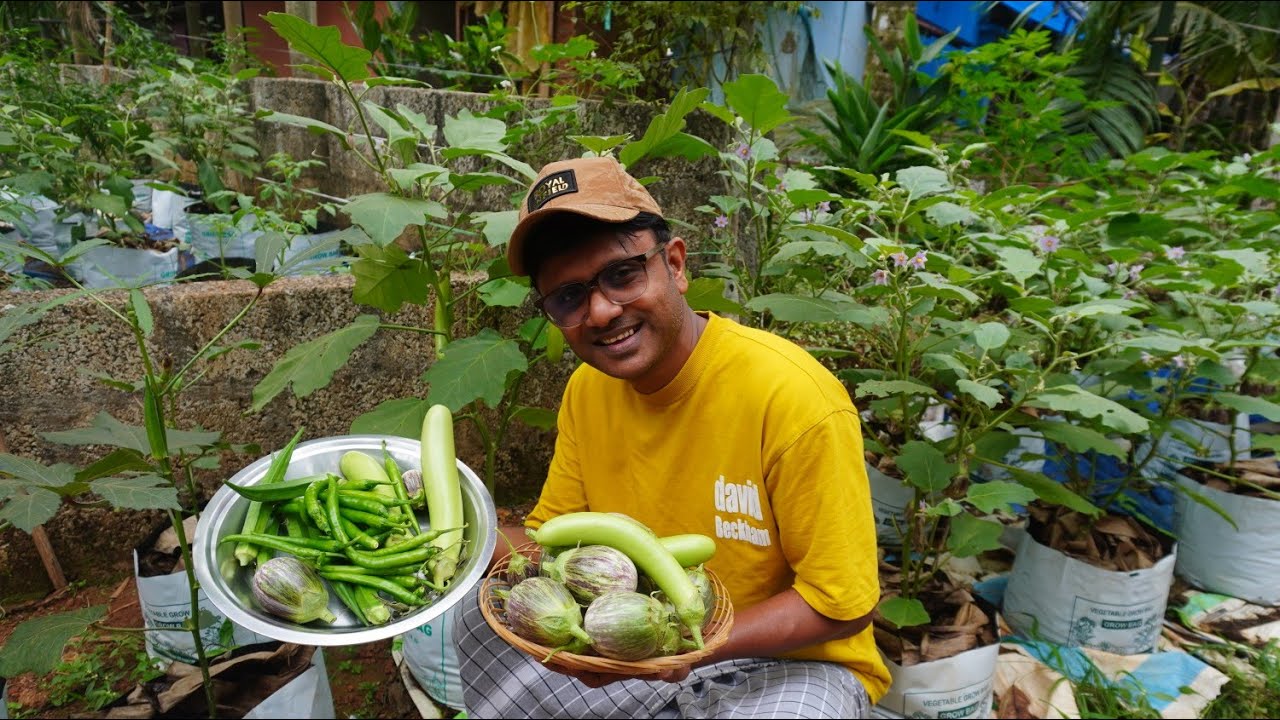 വീട്ടിലെ കൃഷിയിൽ കൂടുതൽ വിളവ് എടുക്കാം/ #HOME VEGETABLES GARDEN #vegetables #garden #youtube #home 