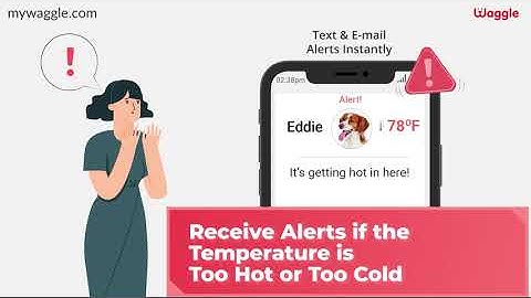 Know how Waggle works.