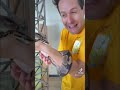 Non aprire questo video se hai paura dei serpenti…🐍