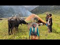 Natural beauty of nepali mountain village life  most peaceful lifestyle in rainy days  iamsuman