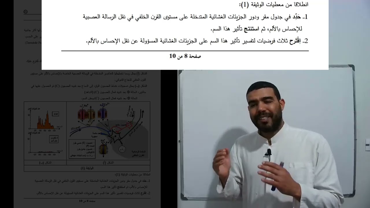 حل تمرين 3 أجزاء سم العنكبوت الخطوة 04