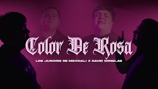 Los Juniors de Mexicali, David Ornelas - Color de Rosa [Video Oficial]