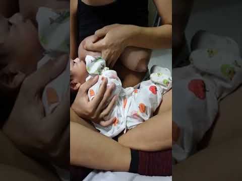 Ibu menyusui bayi #shorts1