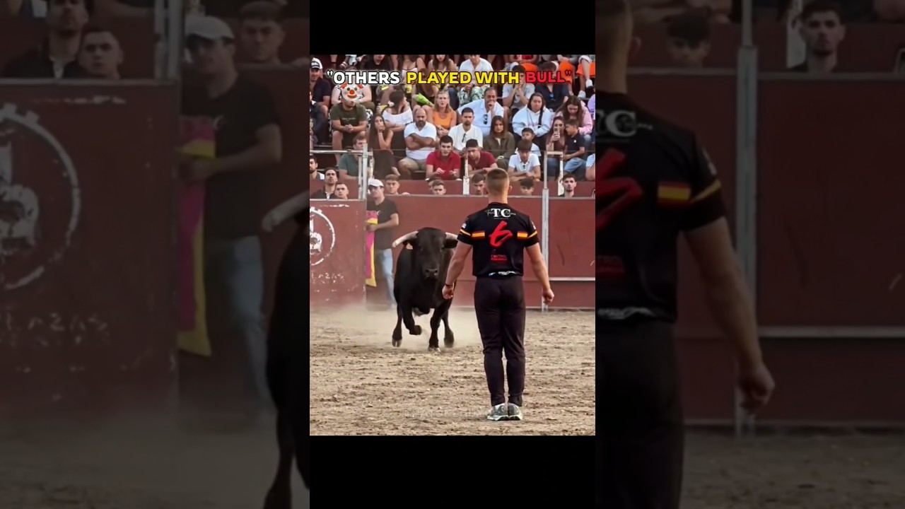 Others Playing With Bulls vs This Bull 🤯🐂🔥 #othervsthisone #trollface #bullfight #bulls #animals