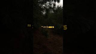 The Cave That Swallows People And No One Comes Back