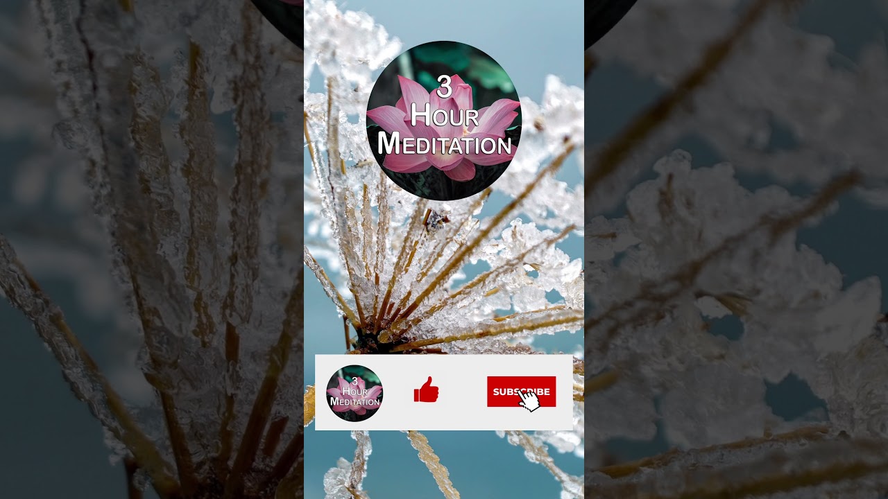 Subscribe for daily videos to help you calm and relax! 