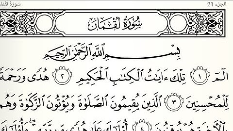 سورة لقمان تلاوت قرآن الشيخ(عبد الرحمن الشحات)