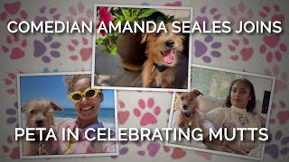 Amanda Seales And Her Dog, Geordi, Team Up With Peta To Celebrate Mutts