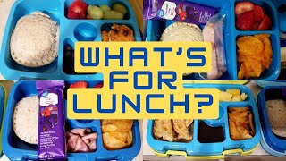 A Week of School Lunches  week 25