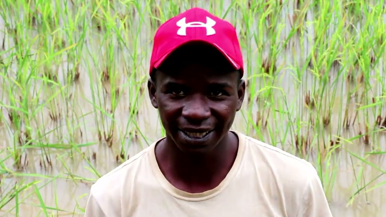 Fiompiana trondro Faritra Amoron'i Mania - Matsiatra Ambony: FORMAPROD AHI / MINAE / FIDA