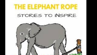 Celebrity The  Discover the Strength and Versatility of Elephant Rope - Your Ultimate Tool for Tough Tasks" Wealth