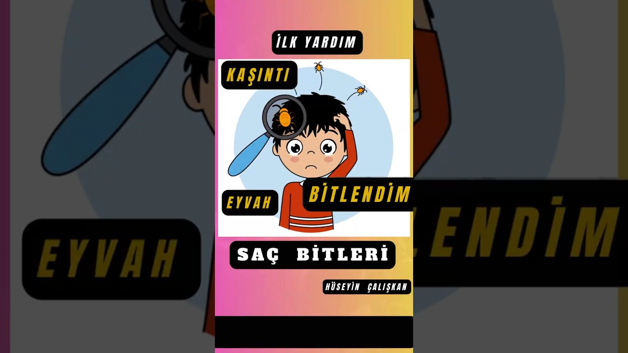 Bitler nasıl bulaşır? Bitin yavrusuna ve yumurtasına ne denir? Bit nasıl çoğalır?