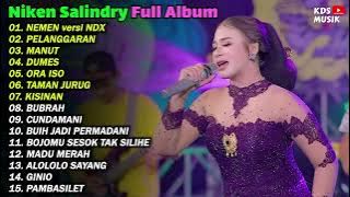 Download lagu NEMEN VERSI NDX - NIKEN SALINDRY FULL ALBUM TERBARU 2023