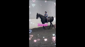 Day 4 of editing random videos i have until i get 100 subs #100subscriber