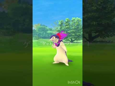 【ポケモンGO】　ヒスイバクフーンソロ討伐！！