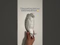 Transform your home #lamp #eagle #lighting #roomdecor