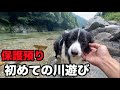 保護犬ボーダー・ドッグランや川遊び【16-17日目】