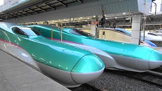 Series E5 Shinkansen bullet train / E5系新幹線 / E5 सीरीज शिंकानसेन