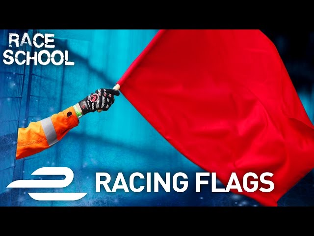 Race School: Every Racing Flag Explained! - Formula E class=