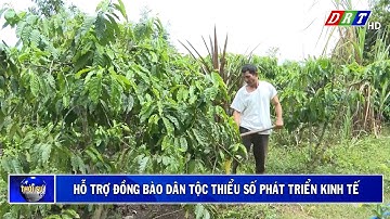 Hỗ trợ đồng bào dân tộc thiểu số phát triển kinh tế| Truyền hình Đắk Lắk