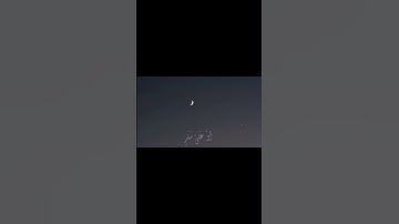 القارئ|#عبدالله_الموسى
