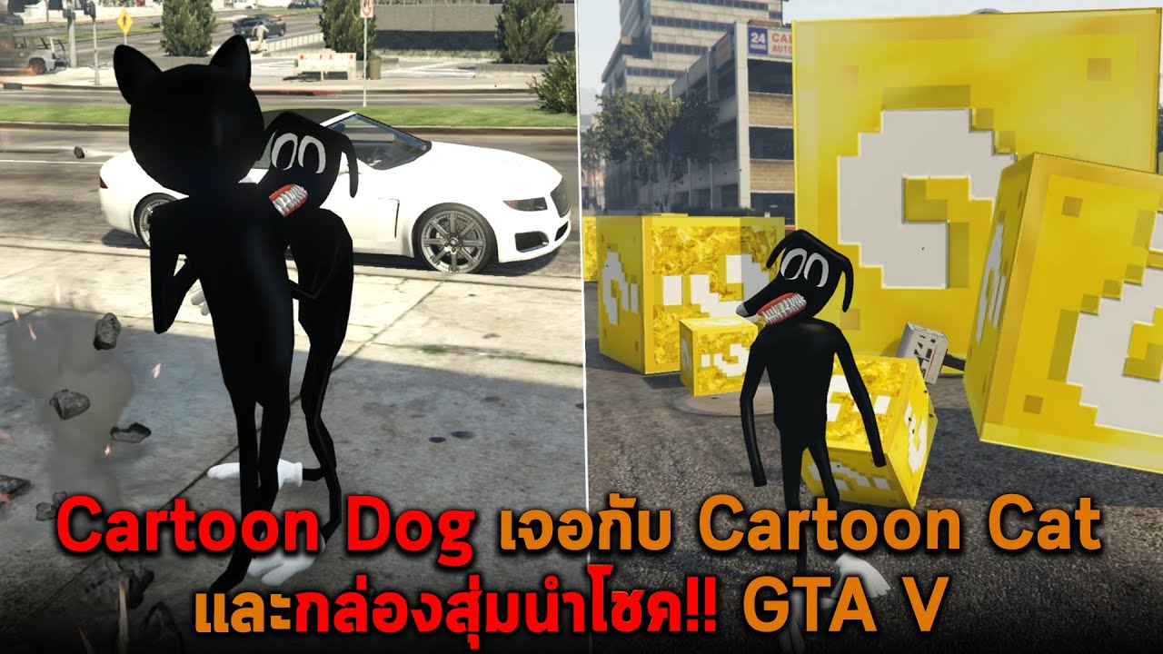 กล่อง แยก สาย แลน  2022 New  Cartoon Dog เจอกับ Cartoon Cat และกล่องสุ่มนำโชค GTA V