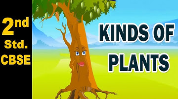 Kinds Of Plants | 2nd Std | Science | CBSE Board | Home Revise