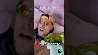 La vida cotidiana de Bad Bunny, es como te imaginas? #musica2024 #badbunny #reggaeton #chiste