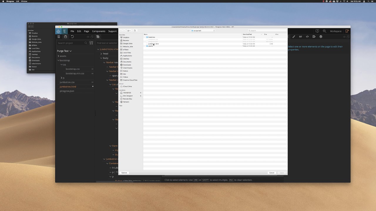 Purge Plugin for Pinegrow Intro - YouTube