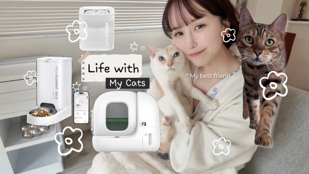 【猫と暮らす日常】自動トイレと便利グッズ紹介｜快適に暮らすための愛用品とこれから🌼🐈