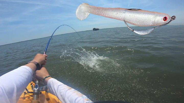 Summer Speckled Trout on the Eastern Shore of Virg...