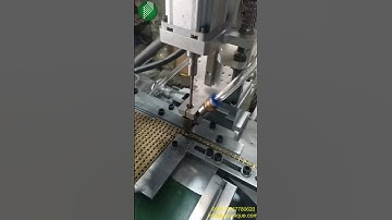Machine with Auto Screw Feeder for Brass Bus Bar Terminal Machine Terminal Block Terminal Bar