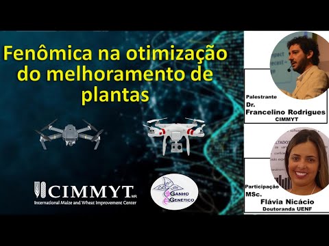 Vídeo: Fenotipagem Integrativa Automatizada De Alto Rendimento De Brotações De Plantas: Um Estudo De Caso Da Tolerância Ao Frio Da Ervilha (Pisum Sativum L.)