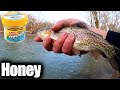 Do Trout Like PowerBait Honey Worms? Winter Stocked Trout Fishing