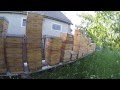 Пчеловодство Матки на Выходе Рождение Матки