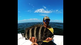 BIGGEST SHEEPSHEAD (FOR ME) OF THE YEAR Tybee Island GA OFFSHORE FISHING AMERICAN FISHING CHARTER