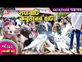      largest pigeon market in khulna    