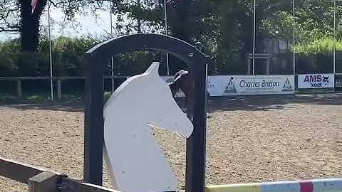 Advert reference - 379826