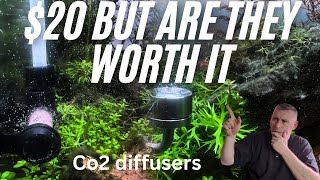 Amazon CO2 Diffuser Test: Is It Worth Cheaping Out?