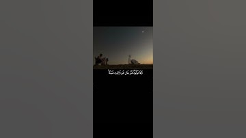 يَا أَيُّهَا النَّاسُ اتَّقُوا رَبَّكُمْ || تلاوة خاشعة بصوت الشيخ ياسر الدوسري 💗🌿
