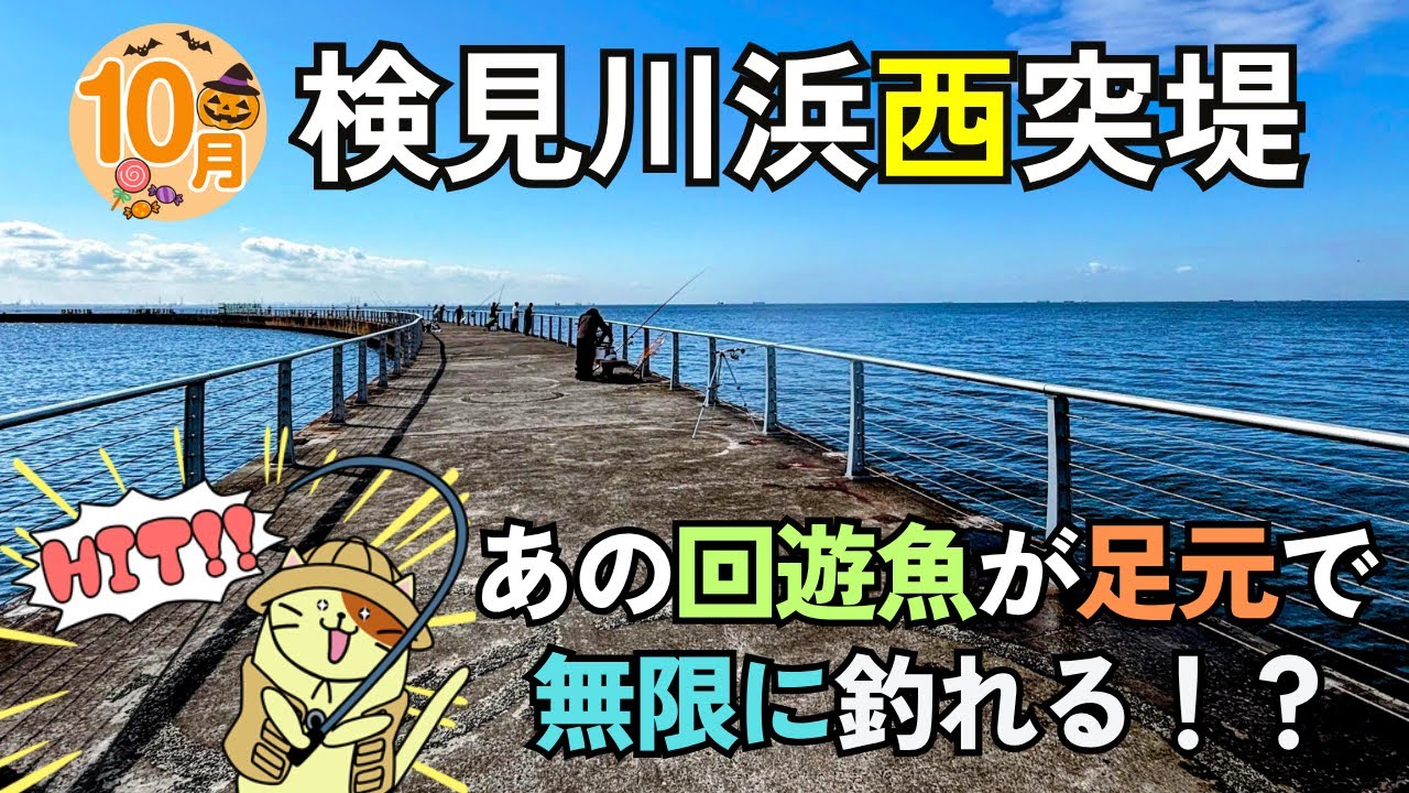 【10月の検見川浜西突堤】無限に釣れる！？ 足元サビキであの回遊魚が爆釣！