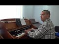 Almost persuaded  organist bujor florin lucian playing on romanian reed organ