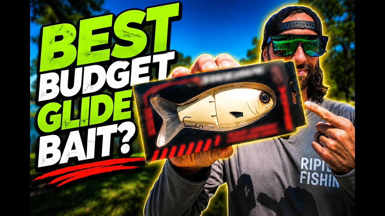 Is This the Best Budget Glide Bait?