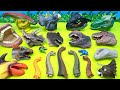 30 Dinosaur Heads With Jurassic World | Tyrannosaurus Rex Triceratops Pteranodon