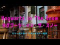 ワーナー ブラザース スタジオツアー 東京 　「ホグワーツ・イン・ザ・スノー」に行ってみた。Cinematic Vlog with SONY α7S III & FE 24mm F1.4 GM