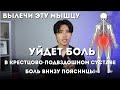 Вылечи эту мышцу. Уйдет боль в крестцово-подвздошном суставе и боль внизу спины.