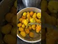 Pequi