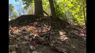 Redcat gen8 v2 test video